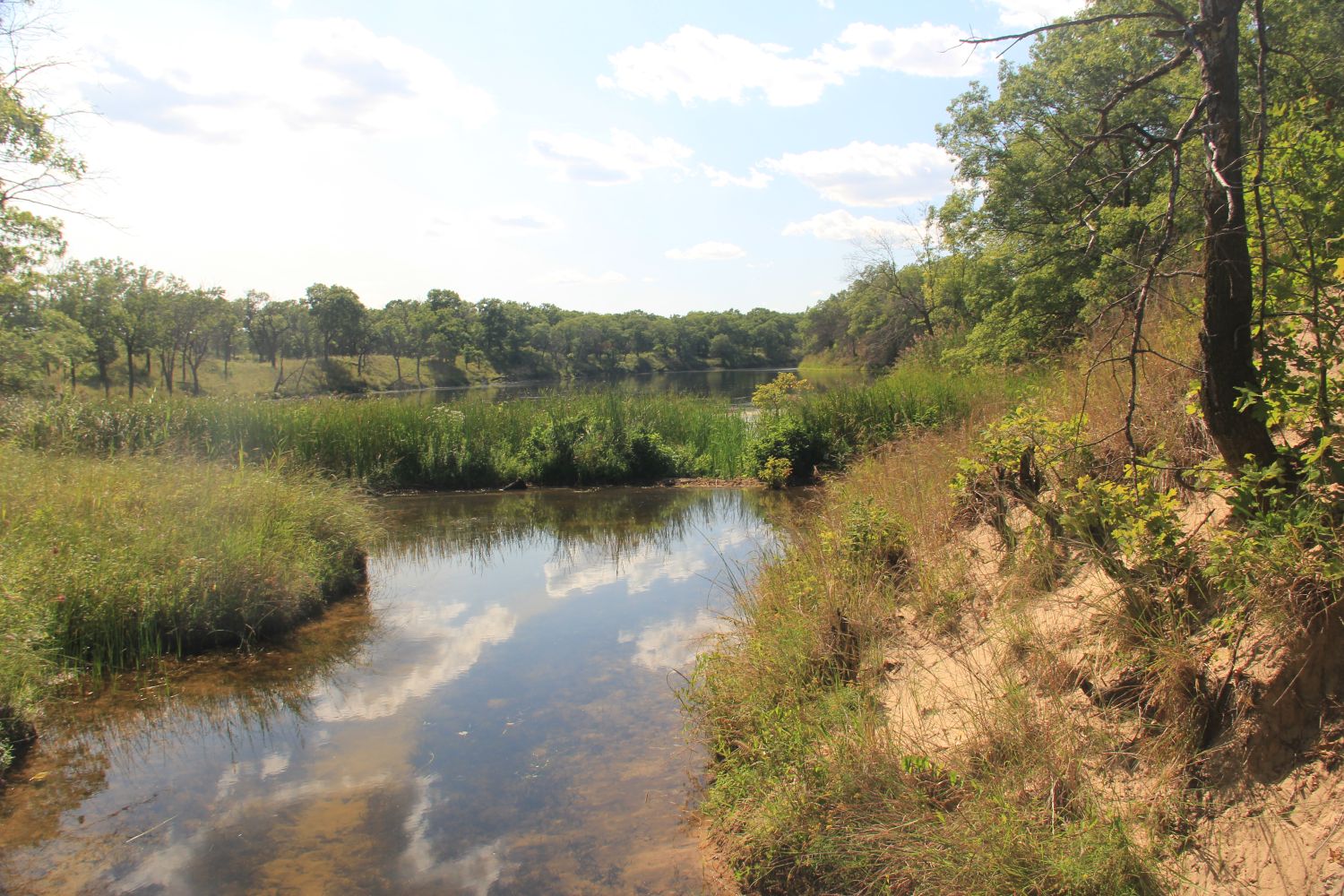 Ranger Led Miller Woods Hike 